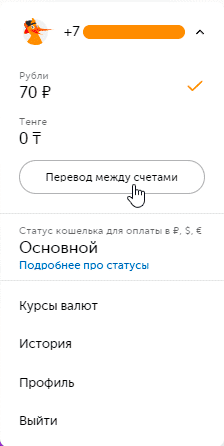 Как пополнить баланс Steam (Стим) из России рублями, не смотря на санкции в 2024 году